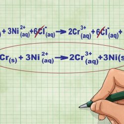 Hcn + koh net ionic equation