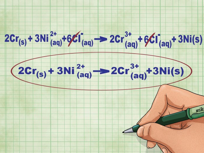 Hcn + koh net ionic equation