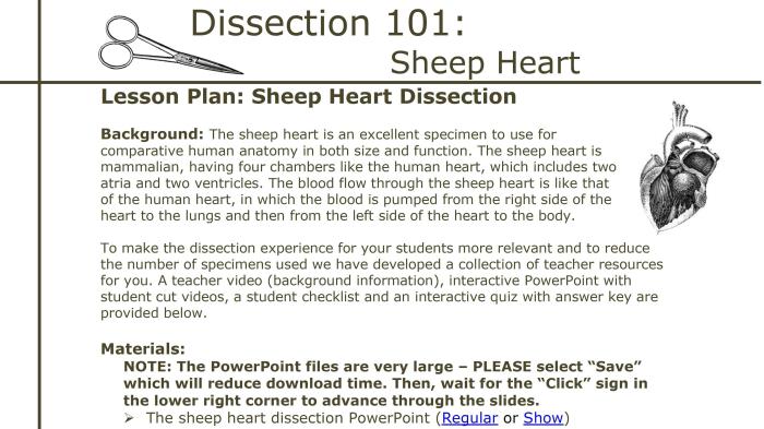 Heart dissection lab worksheet answers