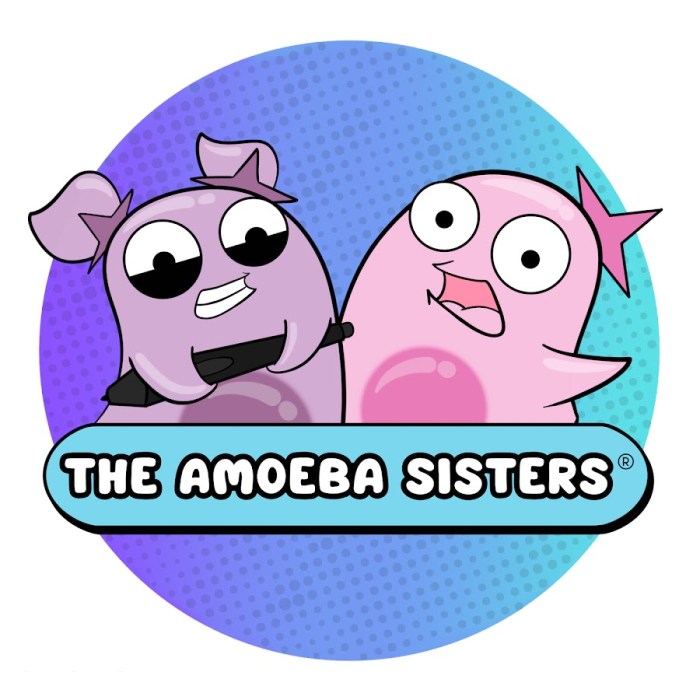 Amoeba sisters characteristics of life answer key